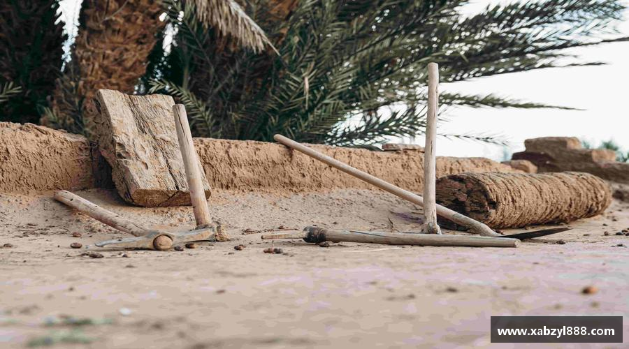 完美体育365平台官网拼搏绽放，青春无悔！